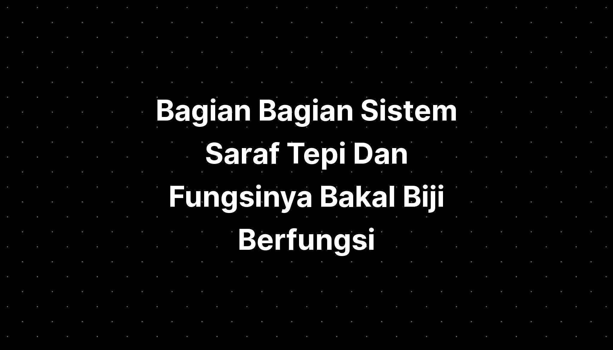 Bagian Bagian Saraf Tepi Dan Fungsinya Bakal Biji Imagesee The Best